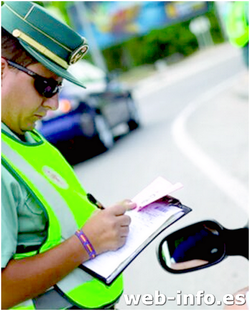 ¿Qué tipos de servicios pueden indicar las señales de servicio en las carreteras?